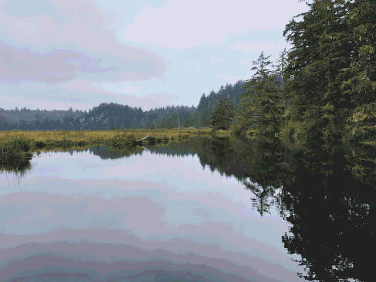 Beaver Creek resized 768x576